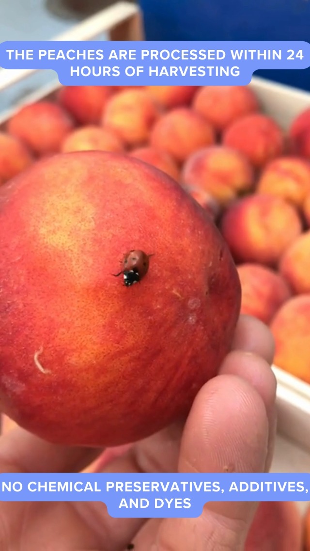 Amazon.com : Leonforte Peach Juice, from Sicilia - Marco Colzani